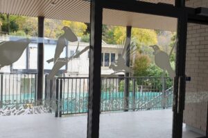 Birds and Manifestations throughout rooms Manifestations with native birds above resembling each of the classrooms in the newly created school.
